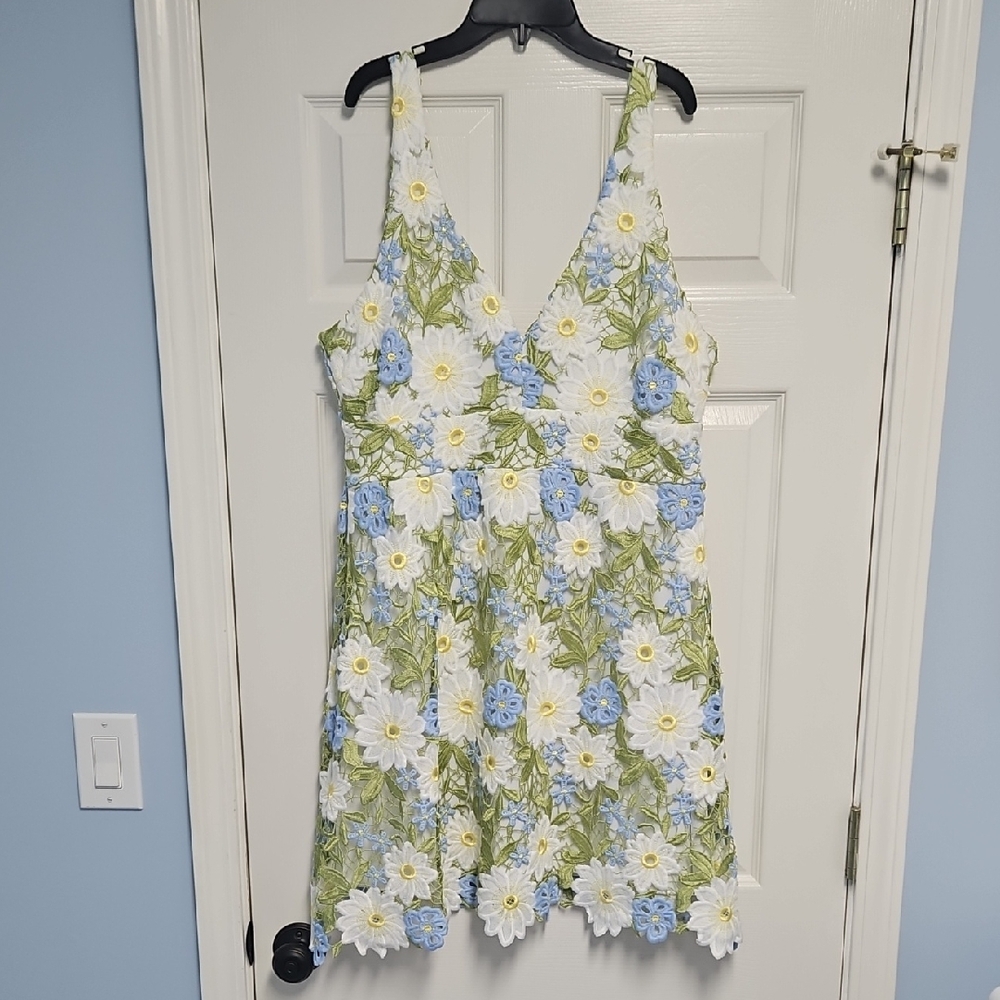 Layered With Love Floral Lace V-Neck Sleeveless A-line Dress:Daisy Print:Size-XL